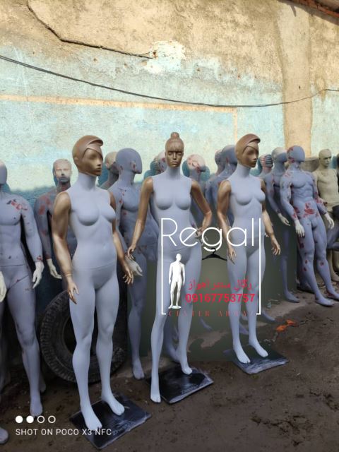 فروش رگال در اهواز 091۶7753757 مدیریت آقای معرفاوی 