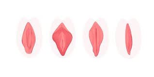 بهترین لابیا پلاستی