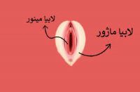 لابیا پلاستی خرم آباد