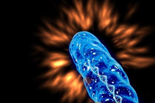 زیبایی لابیاپلاستی در خرم اباد