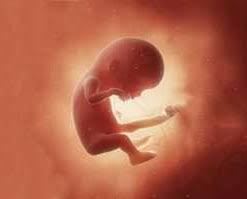 زیبایی واژن در خرم اباد