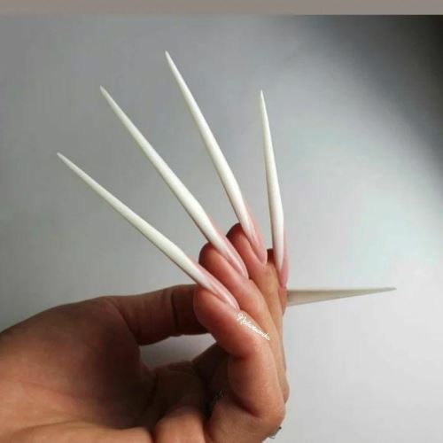 مدلینگ استیلیت روسب