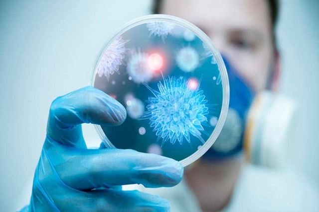 پژواک درمان