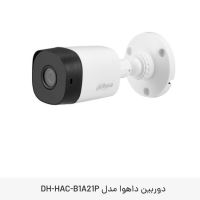 نمایندگی دوربین داهوا در بروجن