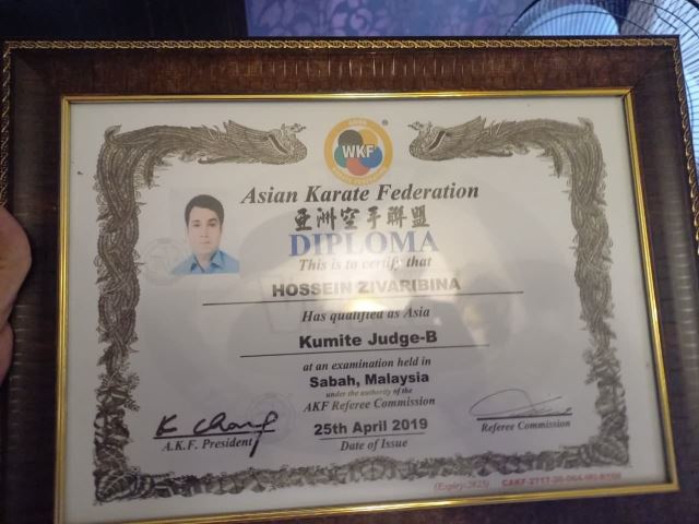 حسین زیوری بینا