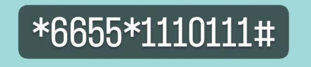 ایکس بادی تهرانسر