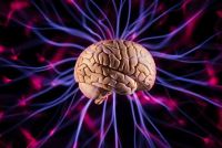 بهترین متخصص مغز و اعصاب کودکان در تهران