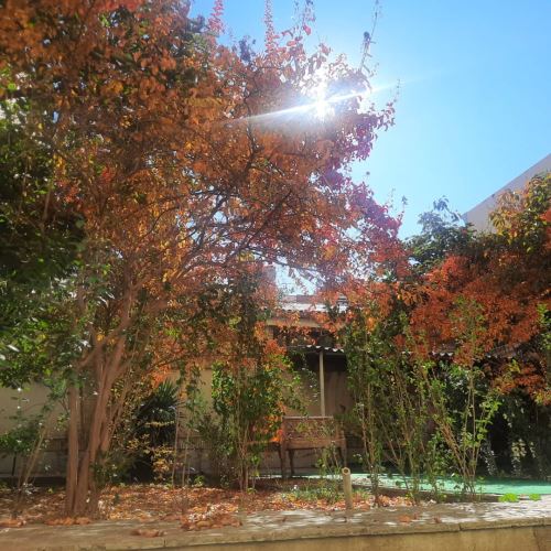 آسايشگاه سالمندان در شمال تهران