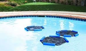 فروش المنت استخری