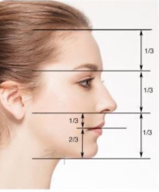 بهترین جراح بینی در شیراز