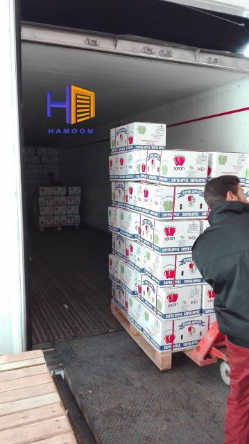 خرید داک لولر، داک شلتر 