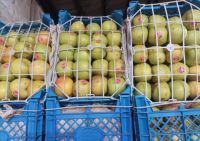 میدان میوه و تره بار در کرج