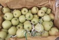 میدان میوه و تره بار در کرج