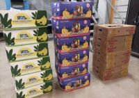 میدان میوه و تره بار در کرج