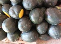 میدان میوه و تره بار در کرج