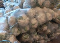 میدان میوه و تره بار در کرج