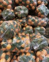 میدان میوه و تره بار در کرج