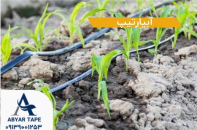 لوله کشاورزی اصفهان 09139961015