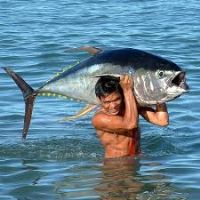 شرکت توسعه انتخاب سبز . خرید و فروش دی کلسیم فسفات ( مکمل غذای دام و طیور )