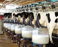 فروش Dcp شرکت توسعه انتخاب سبز