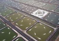 شرکت توسعه انتخاب سبز . خرید و فروش دی کلسیم فسفات ( مکمل غذای دام و طیور )