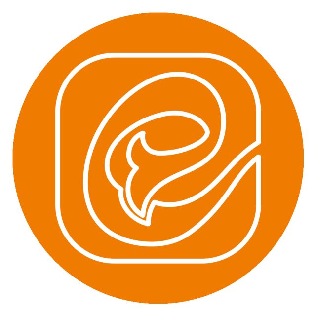 سرمه دوزی روی ترمه 