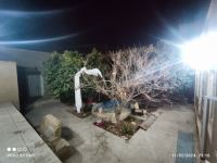 بهترین سوییت در یزد