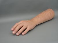 شرکت بازرگانی نوین سپهر کاسپین