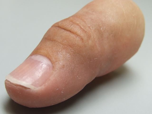 شرکت بازرگانی نوین سپهر کاسپین