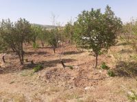 خرید باغ ویلا در مارکده