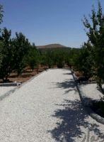 خرید باغ ویلا در مارکده