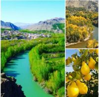 خرید باغ ویلا در مارکده