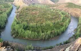 خرید باغ ویلا در مارکده