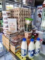 لبنیات و آبمیوه بستنی صدیقی