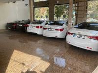 اتو گالری پرسپولیس