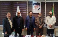 امیرارسلان طلایی