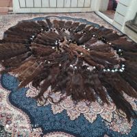 خرید مو طبیعی