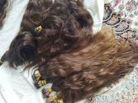 خرید مو طبیعی