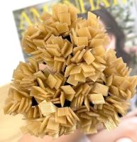 مرجان اکستنشن