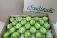 انگور شانی تره بار مرکزی تهران