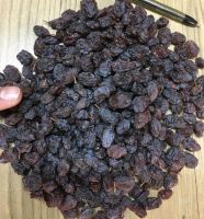 انگور شانی تره بار مرکزی تهران