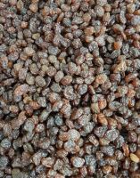 انگور شانی تره بار مرکزی تهران