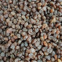 انگور شانی تره بار مرکزی تهران