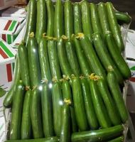 انگور شانی تره بار مرکزی تهران