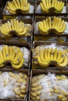 انگور شانی تره بار مرکزی تهران