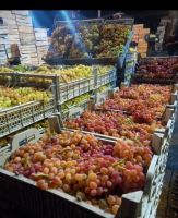 انگور شانی تره بار مرکزی تهران