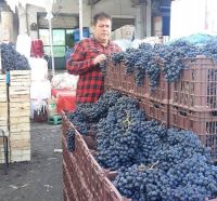 انگور شانی تره بار مرکزی تهران