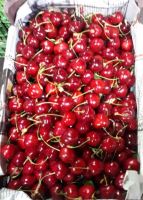 انگور شانی تره بار مرکزی تهران