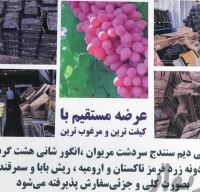 انگور شانی تره بار مرکزی تهران