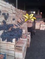 انگور شانی تره بار مرکزی تهران